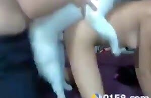 Brunette vui vẻ với một con chó gợi cảm